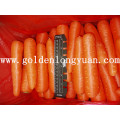Nouvelle carotte fraîche chinoise